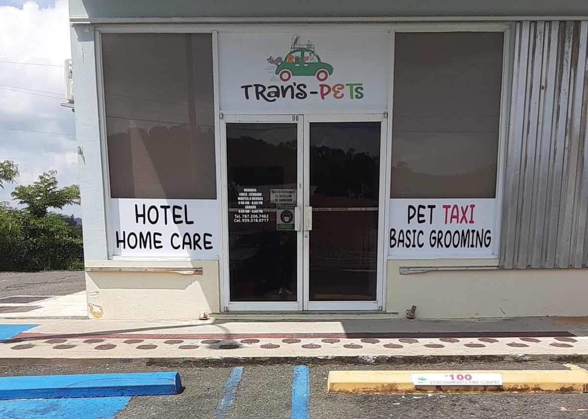 Trans Pets
